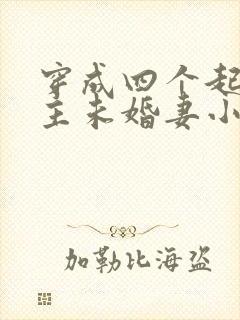 穿成四个起点男主未婚妻小说