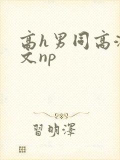 高h男同高潮辣文np
