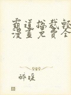 霸道总裁轻点爱漫画免费全集