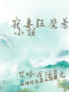 宠妻狂魔惹不得 小说