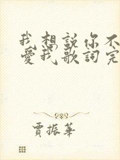 我想说你不是不爱我歌词完整