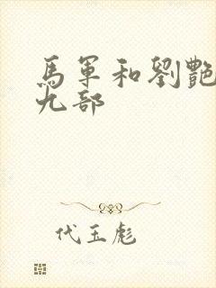 马军和刘艳的第九部