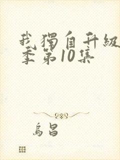 我独自升级第二季第10集