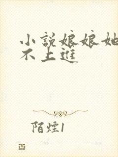 小说娘娘她总是不上进