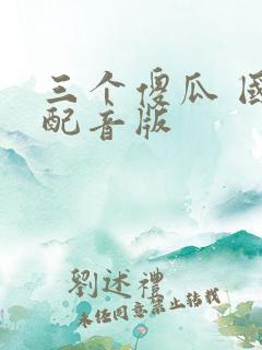 三个傻瓜 国语配音版