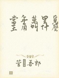 当年万里觅封侯主角叫什么