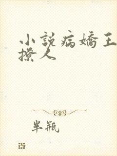 小说病娇王爷太撩人