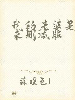 我的老婆是大佬未删减版