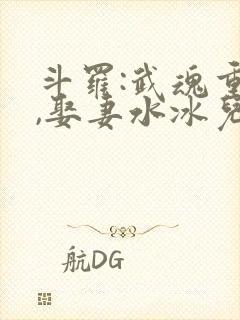 斗罗:武魂重瞳,娶妻水冰儿