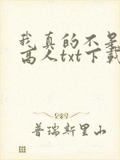 我真的不是绝世高人txt下载