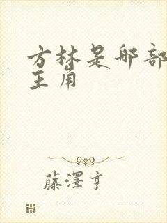 方林是哪部小说主角