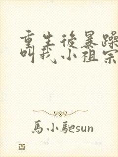 重生后暴躁大佬叫我小祖宗最txt下载