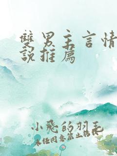 双男主言情的小说推荐