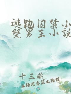 逃跑囚禁小少爷双男主小说推荐