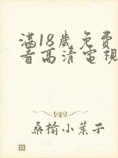 满18岁免费观看高清电视剧在线观看