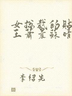 女总裁的贴身兵王萧晨苏晴