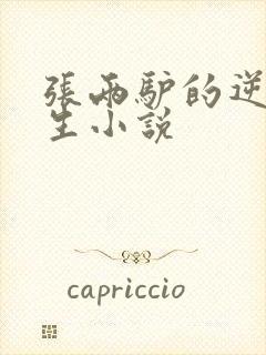 张两驴的逆袭人生小说