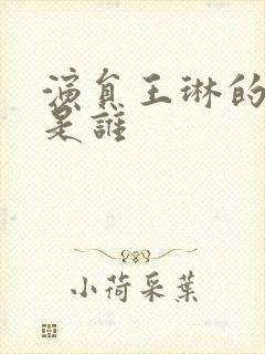 演员王琳的丈夫是谁