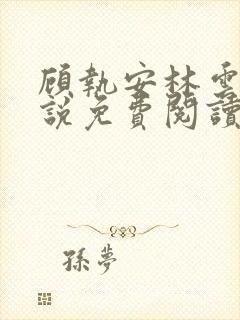 顾执安林云卿小说免费阅读最新章节