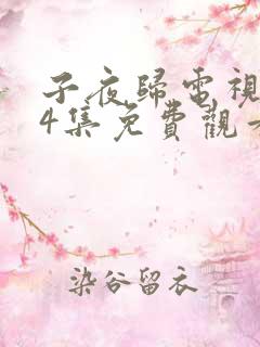 子夜归电视剧24集免费观看全集高清