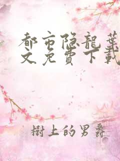 都市隐龙叶辰全文免费下载