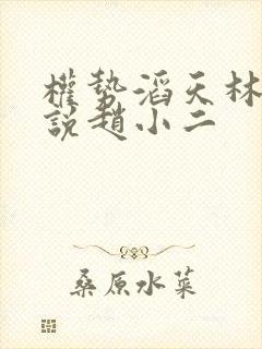 权势滔天林峰小说赵小二