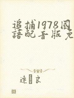追捕1978国语配音版免费观看