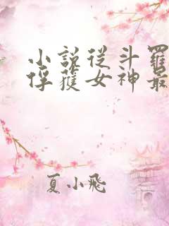 小说从斗罗开始俘获女神最新章节