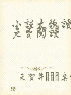 小说大魏读书人免费阅读