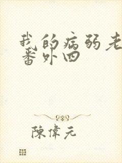 我的病弱老婆 番外四