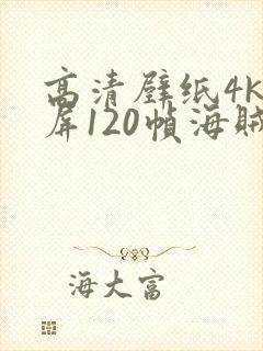 高清壁纸4k全屏120帧海贼王