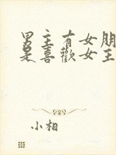 男主有女朋友但是喜欢女主的小说