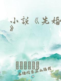 小说《先婚后爱》