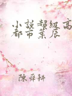 小说超级高手在都市叶辰