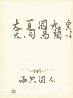 大夏国九皇子夏天,司马兰小说全文免费阅读