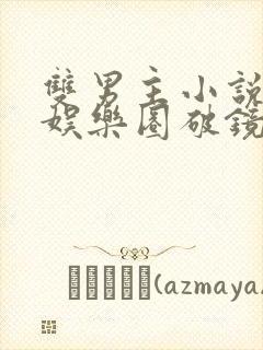 双男主小说推荐娱乐圈破镜重圆文