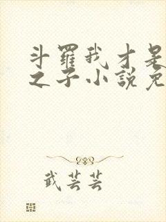 斗罗我才是天命之子小说免费阅读