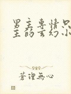 男主专情只爱女主的玄幻小说