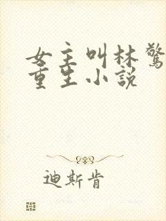 女主叫林惊澜的重生小说