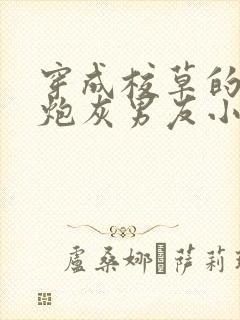 穿成校草的纯1炮灰男友小说