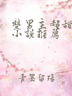 双男主超甜宠文小说推荐