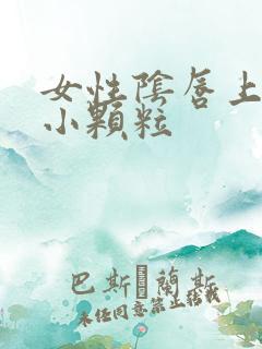 女性阴唇上长的小颗粒