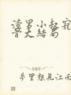 渣男小叔宠我入骨大结局