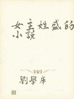 女主姓盛的现代小说