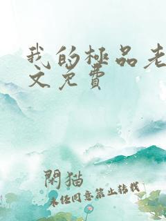 我的极品老婆全文免费