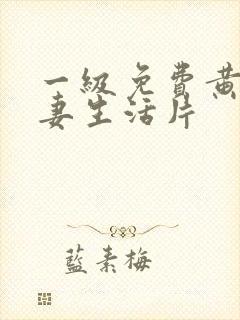 一级免费黄色夫妻生活片
