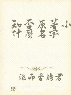 知否原著小说叫什么名字