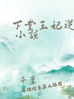 下堂王妃逆袭记 小说