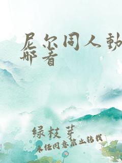 尼尔同人动画在哪看