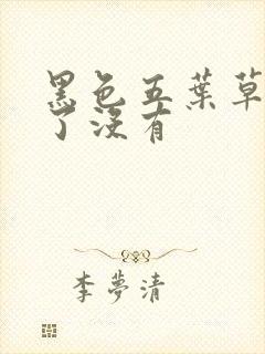 黑色五叶草完结了没有